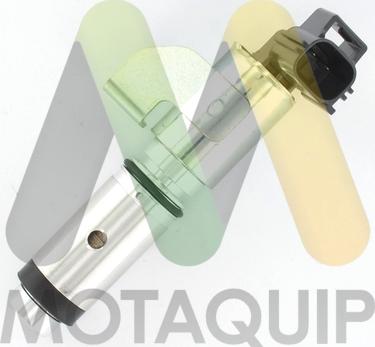 Motaquip LVEP168 - Регулюючий клапан, виставлення розподільного вала avtolavka.club