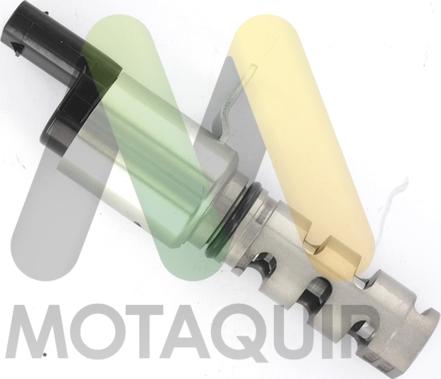 Motaquip LVEP183 - Регулюючий клапан, виставлення розподільного вала avtolavka.club