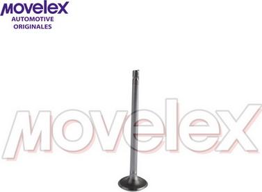 Movelex M03297 - Впускний клапан avtolavka.club