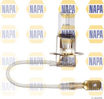 NAPA NBU1453 - Лампа розжарювання, основна фара avtolavka.club