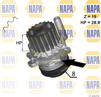 NAPA NWP1045 - Водяний насос avtolavka.club