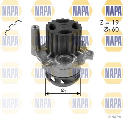 NAPA NWP1031 - Водяний насос avtolavka.club