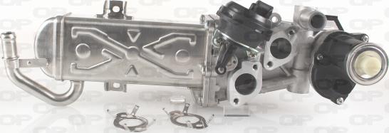 Open Parts EGR3035.00 - Клапан повернення ОГ avtolavka.club