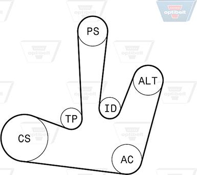 Optibelt 6 PK 1795KT1 - Поликлиновий ремінний комплект avtolavka.club