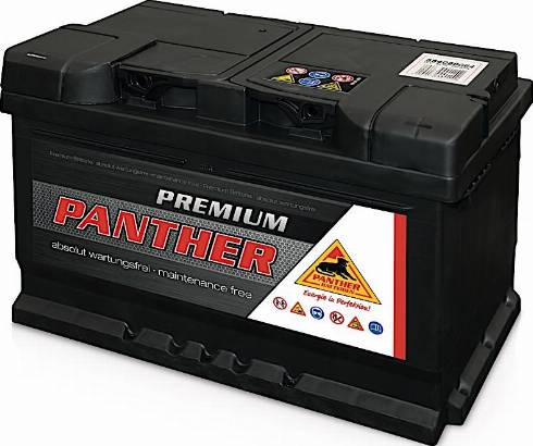 PANTHER SB.5642033 - Стартерна акумуляторна батарея, АКБ avtolavka.club