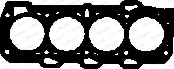 Payen BY430 - Прокладка, головка циліндра avtolavka.club