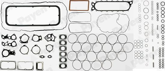 Payen FA5010 - Комплект прокладок, двигун avtolavka.club