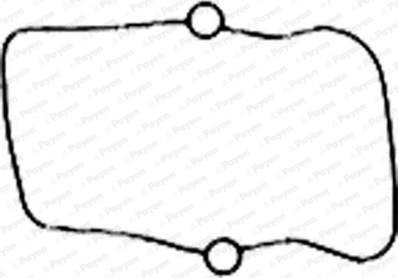 Payen JM5186 - Прокладка, кришка головки циліндра avtolavka.club