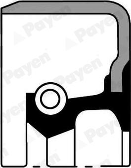 Payen NJ416 - Ущільнене кільце, ступінчаста коробка передач avtolavka.club