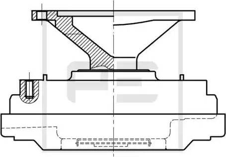 PE Automotive 020.210-00A - Зчеплення, вентилятор радіатора avtolavka.club