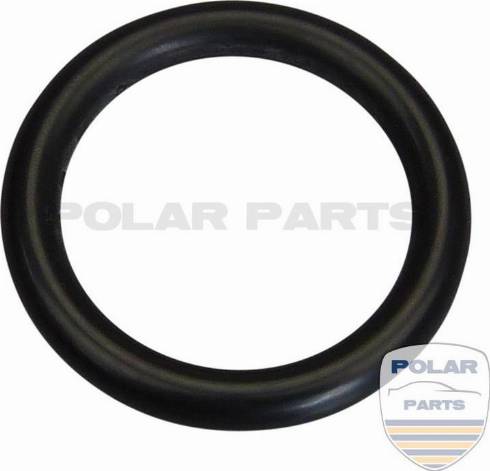 PolarParts 10004990 - Прокладка, впускний колектор avtolavka.club