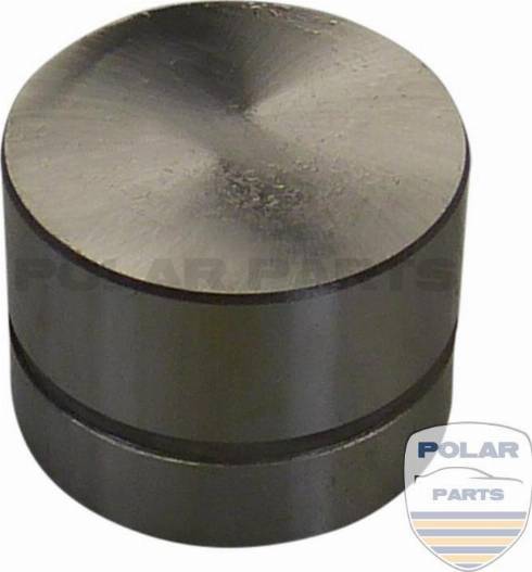 PolarParts 10004656 - Штовхач, гидрокомпенсатор avtolavka.club