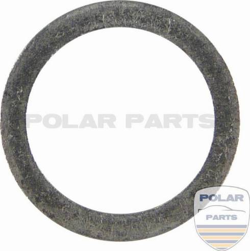 PolarParts 10000166 - Кільце ущільнювача, нарізна пробка мастилозливного отвору avtolavka.club