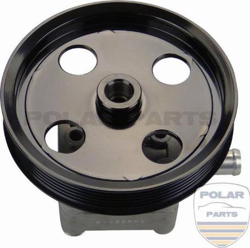 PolarParts 10000335 - Гідравлічний насос, рульове управління, ГУР avtolavka.club