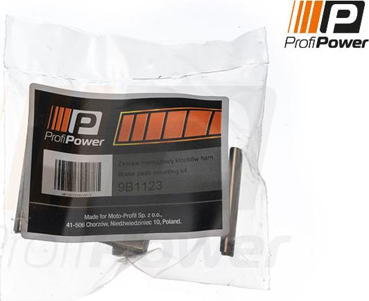 ProfiPower 9B1123 - Комплектуючі, колодки дискового гальма avtolavka.club