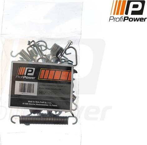 ProfiPower 9B2125 - Комплектуючі, барабанний гальмівний механізм avtolavka.club