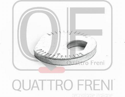 Quattro Freni QF00X00012 - Болт, установка керованих коліс avtolavka.club