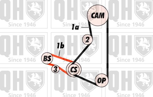 Quinton Hazell QBK419 - Комплект ременя ГРМ avtolavka.club