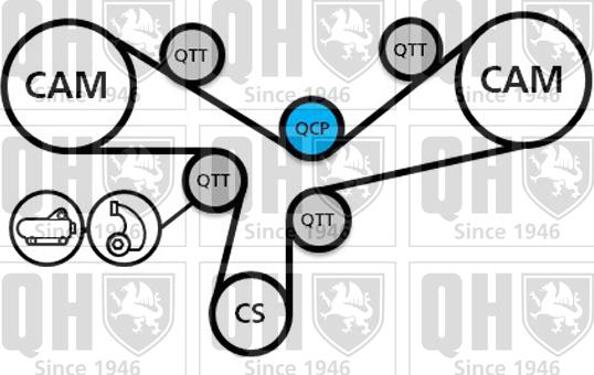 Quinton Hazell QBK811 - Комплект ременя ГРМ avtolavka.club