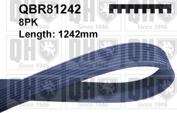 Quinton Hazell QBR81242 - Поліклиновий ремінь avtolavka.club