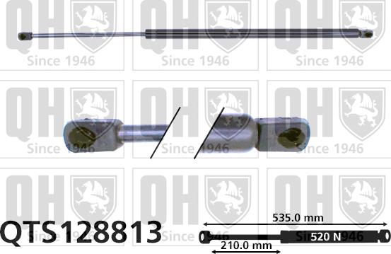 Quinton Hazell QTS128813 - Газова пружина, кришка багажник avtolavka.club