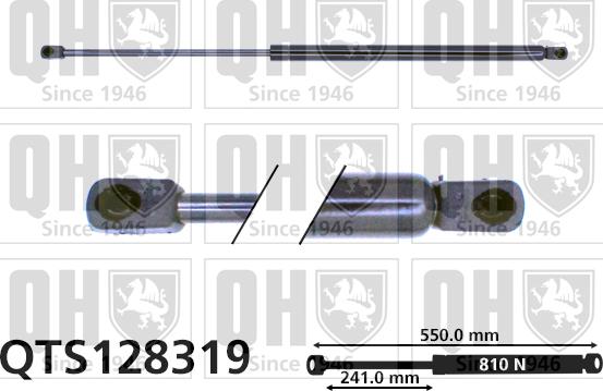 Quinton Hazell QTS128319 - Газова пружина, кришка багажник avtolavka.club