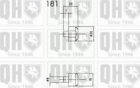 Quinton Hazell QTS840296 - Газова пружина, капот avtolavka.club