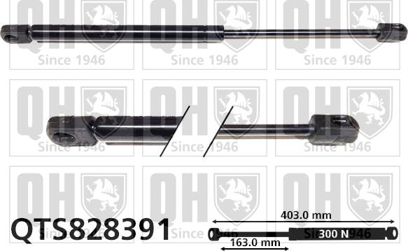 Quinton Hazell QTS828391 - Газова пружина, кришка багажник avtolavka.club