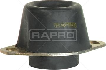 Rapro R59741 - Подушка, підвіска двигуна avtolavka.club