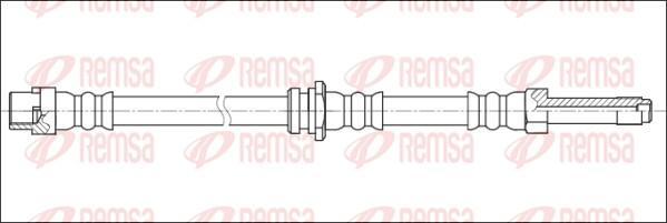 Remsa G1901.91 - Гальмівний шланг avtolavka.club