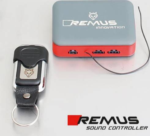 REMUS STE 0002 - Глушник для спортивного автомобіля avtolavka.club