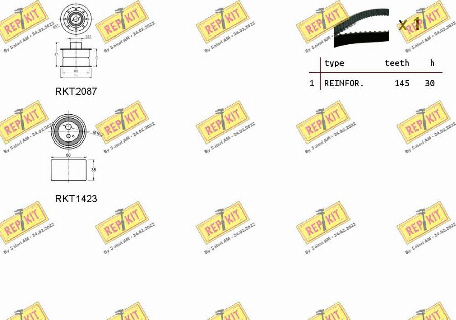 REPKIT RKTK1069 - Комплект ременя ГРМ avtolavka.club