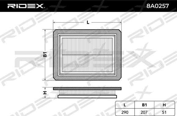 RIDEX 8A0257 - Повітряний фільтр avtolavka.club