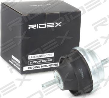 RIDEX 247E0099 - Подушка, підвіска двигуна avtolavka.club