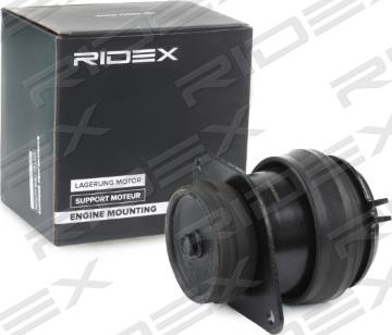 RIDEX 247E0201 - Подушка, підвіска двигуна avtolavka.club