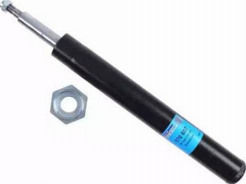 Bilstein 21-030550 - Амортизатор avtolavka.club