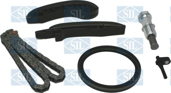 Saleri SIL CK5200 - Комплект ланцюга приводу распредвала avtolavka.club