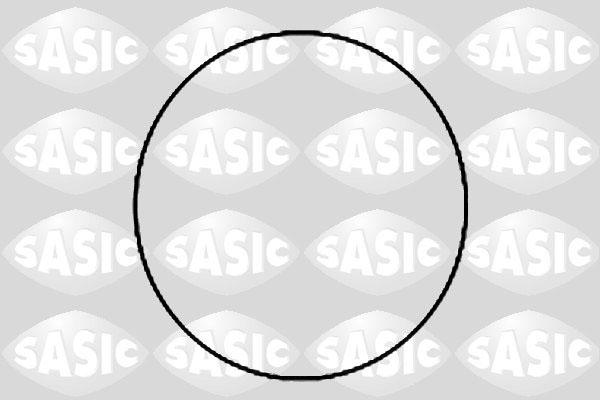 Sasic 1120780 - Комплект прокладок, гільза циліндра avtolavka.club