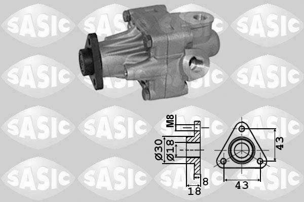 Sasic 7076064 - Гідравлічний насос, рульове управління, ГУР avtolavka.club