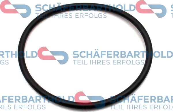 Schferbarthold 395 18 012 01 22 - Ущільнене кільце, сітчастий масляний фільтр avtolavka.club