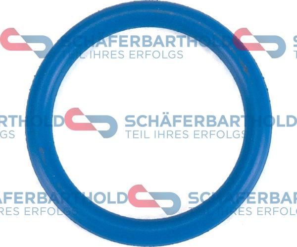 Schferbarthold 313 16 084 01 11 - Кільце ущільнювача, нарізна пробка мастилозливного отвору avtolavka.club