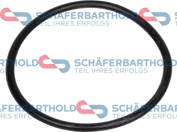Schferbarthold 313 18 103 01 11 - Ущільнене кільце, сітчастий масляний фільтр avtolavka.club