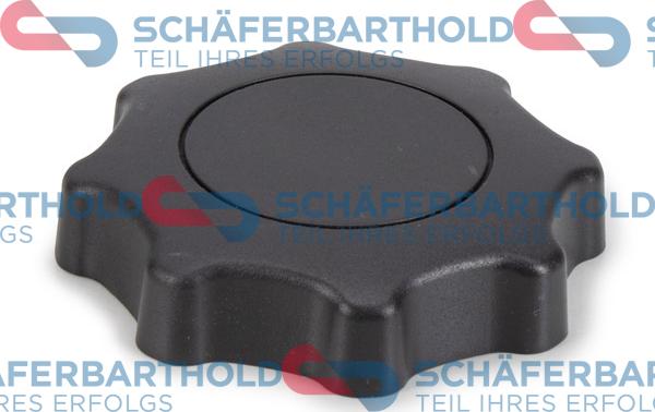 Schferbarthold 317 18 271 01 11 - Регулювальний елемент, регулювання спинки сидіння avtolavka.club