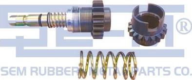 Sem Lastik 12514 - Ремкомплект, гальмівний супорт avtolavka.club