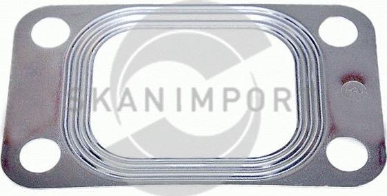 SKANIMPORT D 6262-1 - Прокладка, компресор avtolavka.club