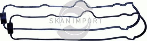 SKANIMPORT VDD-0319 - Прокладка, кришка головки циліндра avtolavka.club