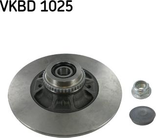 SKF VKBD 1025 - Гальмівний диск avtolavka.club