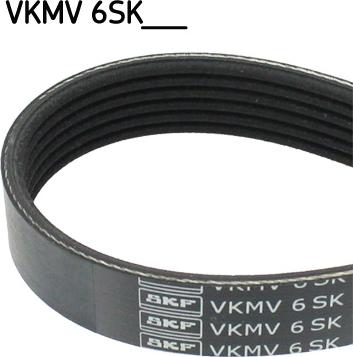 SKF VKMV 6SK1019 - Поліклиновий ремінь avtolavka.club