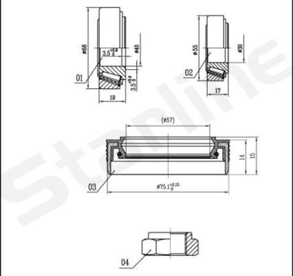 Starline LO 03429 - Комплект підшипника маточини колеса avtolavka.club