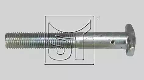 ST-Templin 11.100.4500.250 - Болт кріплення колеса avtolavka.club